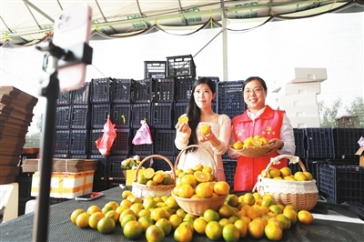 直播帶貨助農(nóng)增收